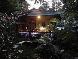 Daintree Rainforest Retreat Motel - Accommodation Australia