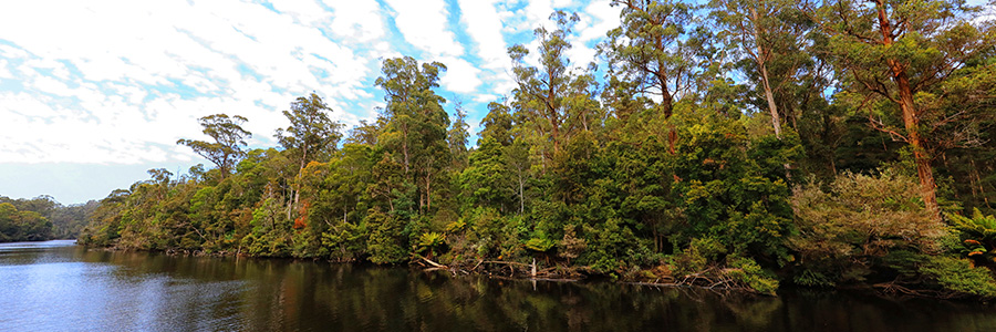 A R Reflections River Cruises