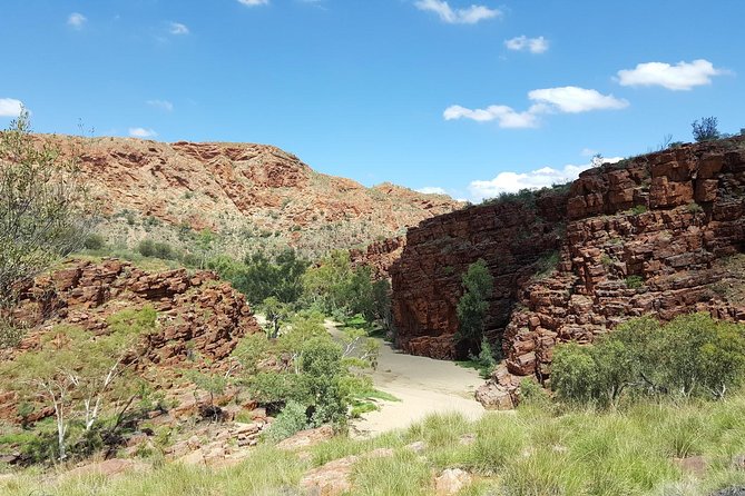 East MacDonnell Ranges 1 Day 4WD Tour - Accommodation Australia