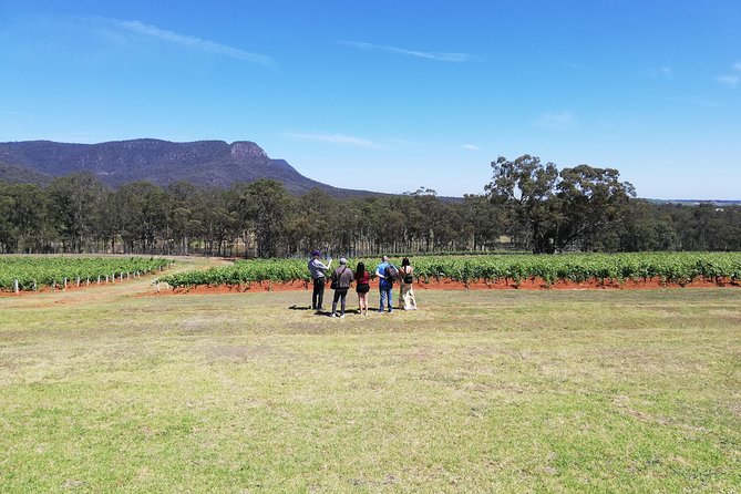 Hunter Valley Private Tour Including Wine, Chocolate, Cheese, Vodka, Gin Tasting - Accommodation Australia