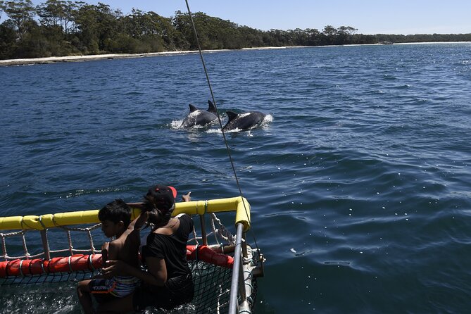 Jervis Bay Boom Netting And Dolphins Tour - Accommodation Australia